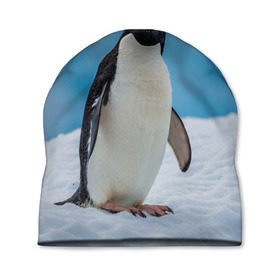 Шапка 3D с принтом Пингвин на айсберге в Кировске, 100% полиэстер | универсальный размер, печать по всей поверхности изделия | айсберг | антарктида | антарктика | арктика | буревестник | глупый | императорский | клюв | королевский | крылья | ласты | лёд | линукс | океан | пилигрим | полюс | птица | север | снег | умка | фрак