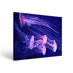 Холст прямоугольный с принтом Розовые медузы в Кировске, 100% ПВХ |  | аквариум | вода | дайвинг | милые | море | океан | плывет | подводный мир | рыбалка | рыбка | рыбы | стая | фауна