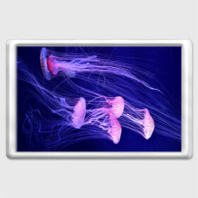 Магнит 45*70 с принтом Розовые медузы в Кировске, Пластик | Размер: 78*52 мм; Размер печати: 70*45 | Тематика изображения на принте: аквариум | вода | дайвинг | милые | море | океан | плывет | подводный мир | рыбалка | рыбка | рыбы | стая | фауна