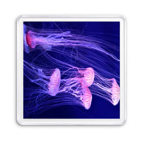 Магнит 55*55 с принтом Розовые медузы в Кировске, Пластик | Размер: 65*65 мм; Размер печати: 55*55 мм | Тематика изображения на принте: аквариум | вода | дайвинг | милые | море | океан | плывет | подводный мир | рыбалка | рыбка | рыбы | стая | фауна