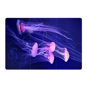 Магнитный плакат 3Х2 с принтом Розовые медузы в Кировске, Полимерный материал с магнитным слоем | 6 деталей размером 9*9 см | Тематика изображения на принте: аквариум | вода | дайвинг | милые | море | океан | плывет | подводный мир | рыбалка | рыбка | рыбы | стая | фауна