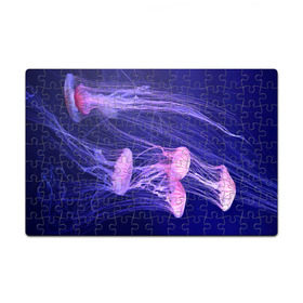 Пазл магнитный 126 элементов с принтом Розовые медузы в Кировске, полимерный материал с магнитным слоем | 126 деталей, размер изделия —  180*270 мм | Тематика изображения на принте: аквариум | вода | дайвинг | милые | море | океан | плывет | подводный мир | рыбалка | рыбка | рыбы | стая | фауна