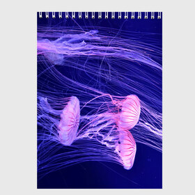 Скетчбук с принтом Розовые медузы в Кировске, 100% бумага
 | 48 листов, плотность листов — 100 г/м2, плотность картонной обложки — 250 г/м2. Листы скреплены сверху удобной пружинной спиралью | Тематика изображения на принте: аквариум | вода | дайвинг | милые | море | океан | плывет | подводный мир | рыбалка | рыбка | рыбы | стая | фауна