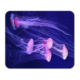 Коврик прямоугольный с принтом Розовые медузы в Кировске, натуральный каучук | размер 230 х 185 мм; запечатка лицевой стороны | Тематика изображения на принте: аквариум | вода | дайвинг | милые | море | океан | плывет | подводный мир | рыбалка | рыбка | рыбы | стая | фауна