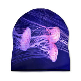 Шапка 3D с принтом Розовые медузы в Кировске, 100% полиэстер | универсальный размер, печать по всей поверхности изделия | аквариум | вода | дайвинг | милые | море | океан | плывет | подводный мир | рыбалка | рыбка | рыбы | стая | фауна