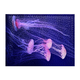 Обложка для студенческого билета с принтом Розовые медузы в Кировске, натуральная кожа | Размер: 11*8 см; Печать на всей внешней стороне | аквариум | вода | дайвинг | милые | море | океан | плывет | подводный мир | рыбалка | рыбка | рыбы | стая | фауна