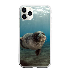 Чехол для iPhone 11 Pro матовый с принтом Тюлень под водой в Кировске, Силикон |  | Тематика изображения на принте: вода | дайвинг | жирный | косяк | красивые | милые | море | морская | морской котик | океан | плывет | подводный мир | прикольные | речная | рыба | рыбалка | стая | тюлень | усатый кот | фауна | чешуя