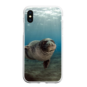 Чехол для iPhone XS Max матовый с принтом Тюлень под водой в Кировске, Силикон | Область печати: задняя сторона чехла, без боковых панелей | вода | дайвинг | жирный | косяк | красивые | милые | море | морская | морской котик | океан | плывет | подводный мир | прикольные | речная | рыба | рыбалка | стая | тюлень | усатый кот | фауна | чешуя