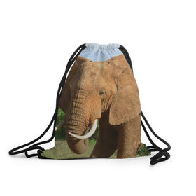 Рюкзак-мешок 3D с принтом Слон в Кировске, 100% полиэстер | плотность ткани — 200 г/м2, размер — 35 х 45 см; лямки — толстые шнурки, застежка на шнуровке, без карманов и подкладки | 