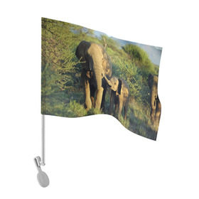 Флаг для автомобиля с принтом Слониха и слоненок в природе в Кировске, 100% полиэстер | Размер: 30*21 см | африка | африканский | бивни | большой | гигант джунгли | зоопарк | индийский | индия | лесной великан | мамонт | огромный | саванна | сафари | серый | слон | слоненок | слониха | стадо | уши | хобот