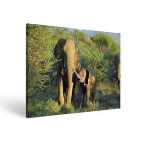 Холст прямоугольный с принтом Слониха и слоненок в природе в Кировске, 100% ПВХ |  | африка | африканский | бивни | большой | гигант джунгли | зоопарк | индийский | индия | лесной великан | мамонт | огромный | саванна | сафари | серый | слон | слоненок | слониха | стадо | уши | хобот