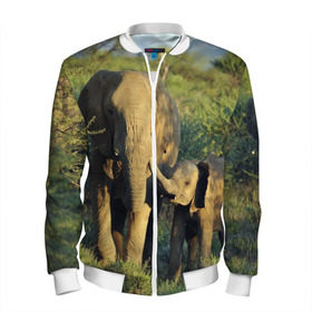 Мужской бомбер 3D с принтом Слониха и слоненок в природе в Кировске, 100% полиэстер | застегивается на молнию, по бокам два кармана без застежек, по низу бомбера и на воротнике - эластичная резинка | африка | африканский | бивни | большой | гигант джунгли | зоопарк | индийский | индия | лесной великан | мамонт | огромный | саванна | сафари | серый | слон | слоненок | слониха | стадо | уши | хобот