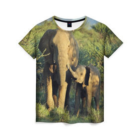 Женская футболка 3D с принтом Слониха и слоненок в природе в Кировске, 100% полиэфир ( синтетическое хлопкоподобное полотно) | прямой крой, круглый вырез горловины, длина до линии бедер | африка | африканский | бивни | большой | гигант джунгли | зоопарк | индийский | индия | лесной великан | мамонт | огромный | саванна | сафари | серый | слон | слоненок | слониха | стадо | уши | хобот
