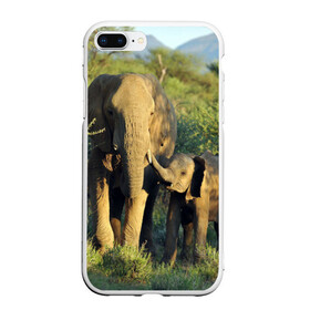 Чехол для iPhone 7Plus/8 Plus матовый с принтом Слониха и слоненок в природе в Кировске, Силикон | Область печати: задняя сторона чехла, без боковых панелей | африка | африканский | бивни | большой | гигант джунгли | зоопарк | индийский | индия | лесной великан | мамонт | огромный | саванна | сафари | серый | слон | слоненок | слониха | стадо | уши | хобот
