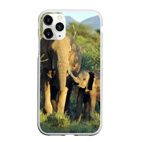 Чехол для iPhone 11 Pro матовый с принтом Слониха и слоненок в природе в Кировске, Силикон |  | Тематика изображения на принте: африка | африканский | бивни | большой | гигант джунгли | зоопарк | индийский | индия | лесной великан | мамонт | огромный | саванна | сафари | серый | слон | слоненок | слониха | стадо | уши | хобот
