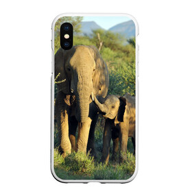 Чехол для iPhone XS Max матовый с принтом Слониха и слоненок в природе в Кировске, Силикон | Область печати: задняя сторона чехла, без боковых панелей | Тематика изображения на принте: африка | африканский | бивни | большой | гигант джунгли | зоопарк | индийский | индия | лесной великан | мамонт | огромный | саванна | сафари | серый | слон | слоненок | слониха | стадо | уши | хобот