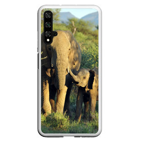 Чехол для Honor 20 с принтом Слониха и слоненок в природе в Кировске, Силикон | Область печати: задняя сторона чехла, без боковых панелей | африка | африканский | бивни | большой | гигант джунгли | зоопарк | индийский | индия | лесной великан | мамонт | огромный | саванна | сафари | серый | слон | слоненок | слониха | стадо | уши | хобот
