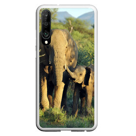 Чехол для Honor P30 с принтом Слониха и слоненок в природе в Кировске, Силикон | Область печати: задняя сторона чехла, без боковых панелей | Тематика изображения на принте: африка | африканский | бивни | большой | гигант джунгли | зоопарк | индийский | индия | лесной великан | мамонт | огромный | саванна | сафари | серый | слон | слоненок | слониха | стадо | уши | хобот