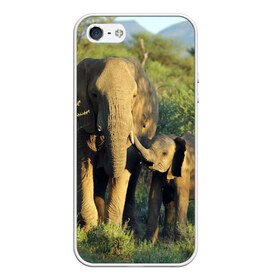 Чехол для iPhone 5/5S матовый с принтом Слониха и слоненок в природе в Кировске, Силикон | Область печати: задняя сторона чехла, без боковых панелей | Тематика изображения на принте: африка | африканский | бивни | большой | гигант джунгли | зоопарк | индийский | индия | лесной великан | мамонт | огромный | саванна | сафари | серый | слон | слоненок | слониха | стадо | уши | хобот