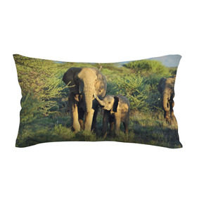 Подушка 3D антистресс с принтом Слониха и слоненок в природе в Кировске, наволочка — 100% полиэстер, наполнитель — вспененный полистирол | состоит из подушки и наволочки на молнии | африка | африканский | бивни | большой | гигант джунгли | зоопарк | индийский | индия | лесной великан | мамонт | огромный | саванна | сафари | серый | слон | слоненок | слониха | стадо | уши | хобот