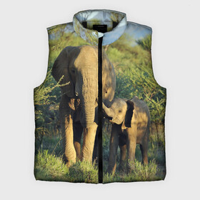 Мужской жилет утепленный 3D с принтом Слониха и слоненок в природе в Кировске,  |  | африка | африканский | бивни | большой | гигант джунгли | зоопарк | индийский | индия | лесной великан | мамонт | огромный | саванна | сафари | серый | слон | слоненок | слониха | стадо | уши | хобот