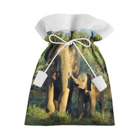 Подарочный 3D мешок с принтом Слониха и слоненок в природе в Кировске, 100% полиэстер | Размер: 29*39 см | африка | африканский | бивни | большой | гигант джунгли | зоопарк | индийский | индия | лесной великан | мамонт | огромный | саванна | сафари | серый | слон | слоненок | слониха | стадо | уши | хобот
