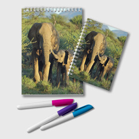 Блокнот с принтом Слониха и слоненок в природе в Кировске, 100% бумага | 48 листов, плотность листов — 60 г/м2, плотность картонной обложки — 250 г/м2. Листы скреплены удобной пружинной спиралью. Цвет линий — светло-серый
 | Тематика изображения на принте: африка | африканский | бивни | большой | гигант джунгли | зоопарк | индийский | индия | лесной великан | мамонт | огромный | саванна | сафари | серый | слон | слоненок | слониха | стадо | уши | хобот
