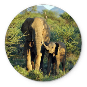 Коврик круглый с принтом Слониха и слоненок в природе в Кировске, резина и полиэстер | круглая форма, изображение наносится на всю лицевую часть | Тематика изображения на принте: африка | африканский | бивни | большой | гигант джунгли | зоопарк | индийский | индия | лесной великан | мамонт | огромный | саванна | сафари | серый | слон | слоненок | слониха | стадо | уши | хобот