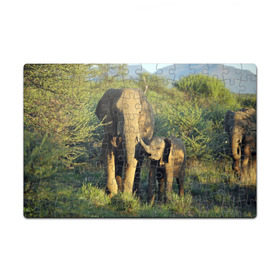 Пазл магнитный 126 элементов с принтом Слониха и слоненок в природе в Кировске, полимерный материал с магнитным слоем | 126 деталей, размер изделия —  180*270 мм | африка | африканский | бивни | большой | гигант джунгли | зоопарк | индийский | индия | лесной великан | мамонт | огромный | саванна | сафари | серый | слон | слоненок | слониха | стадо | уши | хобот
