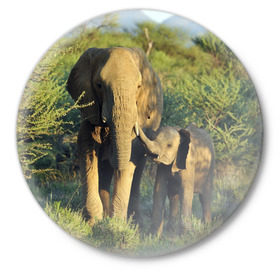 Значок с принтом Слониха и слоненок в природе в Кировске,  металл | круглая форма, металлическая застежка в виде булавки | африка | африканский | бивни | большой | гигант джунгли | зоопарк | индийский | индия | лесной великан | мамонт | огромный | саванна | сафари | серый | слон | слоненок | слониха | стадо | уши | хобот
