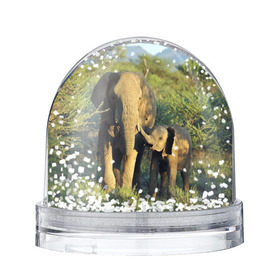 Снежный шар с принтом Слониха и слоненок в природе в Кировске, Пластик | Изображение внутри шара печатается на глянцевой фотобумаге с двух сторон | африка | африканский | бивни | большой | гигант джунгли | зоопарк | индийский | индия | лесной великан | мамонт | огромный | саванна | сафари | серый | слон | слоненок | слониха | стадо | уши | хобот