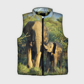 Женский жилет утепленный 3D с принтом Слониха и слоненок в природе в Кировске,  |  | африка | африканский | бивни | большой | гигант джунгли | зоопарк | индийский | индия | лесной великан | мамонт | огромный | саванна | сафари | серый | слон | слоненок | слониха | стадо | уши | хобот
