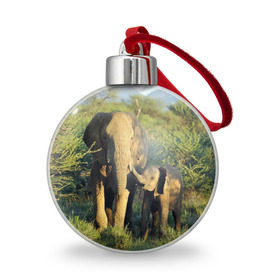 Ёлочный шар с принтом Слониха и слоненок в природе в Кировске, Пластик | Диаметр: 77 мм | Тематика изображения на принте: африка | африканский | бивни | большой | гигант джунгли | зоопарк | индийский | индия | лесной великан | мамонт | огромный | саванна | сафари | серый | слон | слоненок | слониха | стадо | уши | хобот
