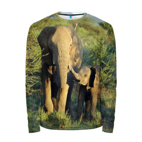 Мужской лонгслив 3D с принтом Слониха и слоненок в природе в Кировске, 100% полиэстер | длинные рукава, круглый вырез горловины, полуприлегающий силуэт | африка | африканский | бивни | большой | гигант джунгли | зоопарк | индийский | индия | лесной великан | мамонт | огромный | саванна | сафари | серый | слон | слоненок | слониха | стадо | уши | хобот