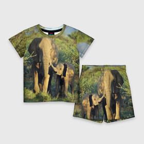 Детский костюм с шортами 3D с принтом Слониха и слоненок в природе в Кировске,  |  | африка | африканский | бивни | большой | гигант джунгли | зоопарк | индийский | индия | лесной великан | мамонт | огромный | саванна | сафари | серый | слон | слоненок | слониха | стадо | уши | хобот
