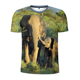 Мужская футболка 3D спортивная с принтом Слониха и слоненок в природе в Кировске, 100% полиэстер с улучшенными характеристиками | приталенный силуэт, круглая горловина, широкие плечи, сужается к линии бедра | Тематика изображения на принте: африка | африканский | бивни | большой | гигант джунгли | зоопарк | индийский | индия | лесной великан | мамонт | огромный | саванна | сафари | серый | слон | слоненок | слониха | стадо | уши | хобот