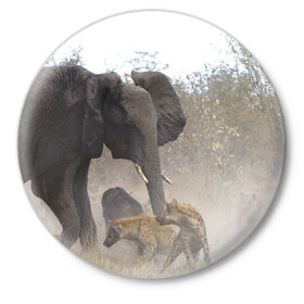 Значок с принтом Гиены охотятся на слона в Кировске,  металл | круглая форма, металлическая застежка в виде булавки | африка | африканский | бивни | большой | гигант джунгли | гиены | индийский | индия | лесной великан | мамонт | огромный | охота | саванна | сафари | серый | слон | слониха | стадо | уши | хобот