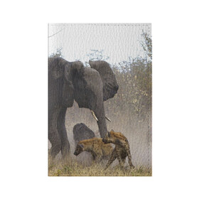 Обложка для паспорта матовая кожа с принтом Гиены охотятся на слона в Кировске, натуральная матовая кожа | размер 19,3 х 13,7 см; прозрачные пластиковые крепления | африка | африканский | бивни | большой | гигант джунгли | гиены | индийский | индия | лесной великан | мамонт | огромный | охота | саванна | сафари | серый | слон | слониха | стадо | уши | хобот