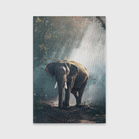 Обложка для паспорта матовая кожа с принтом Слон в лесу в Кировске, натуральная матовая кожа | размер 19,3 х 13,7 см; прозрачные пластиковые крепления | африка | африканский | бивни | большой | гигант джунгли | зоопарк | индийский | индия | лесной великан | мамонт | огромный | саванна | сафари | серый | слон | слоненок | слониха | стадо | уши | хобот