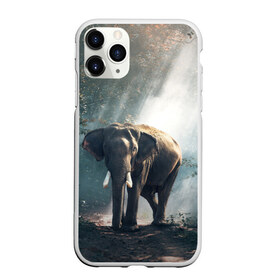 Чехол для iPhone 11 Pro матовый с принтом Слон в лесу в Кировске, Силикон |  | Тематика изображения на принте: африка | африканский | бивни | большой | гигант джунгли | зоопарк | индийский | индия | лесной великан | мамонт | огромный | саванна | сафари | серый | слон | слоненок | слониха | стадо | уши | хобот