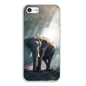 Чехол для iPhone 5/5S матовый с принтом Слон в лесу в Кировске, Силикон | Область печати: задняя сторона чехла, без боковых панелей | африка | африканский | бивни | большой | гигант джунгли | зоопарк | индийский | индия | лесной великан | мамонт | огромный | саванна | сафари | серый | слон | слоненок | слониха | стадо | уши | хобот