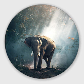 Коврик круглый с принтом Слон в лесу в Кировске, резина и полиэстер | круглая форма, изображение наносится на всю лицевую часть | африка | африканский | бивни | большой | гигант джунгли | зоопарк | индийский | индия | лесной великан | мамонт | огромный | саванна | сафари | серый | слон | слоненок | слониха | стадо | уши | хобот