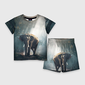 Детский костюм с шортами 3D с принтом Слон в лесу в Кировске,  |  | африка | африканский | бивни | большой | гигант джунгли | зоопарк | индийский | индия | лесной великан | мамонт | огромный | саванна | сафари | серый | слон | слоненок | слониха | стадо | уши | хобот