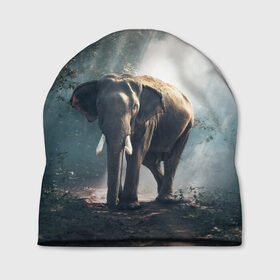 Шапка 3D с принтом Слон в лесу в Кировске, 100% полиэстер | универсальный размер, печать по всей поверхности изделия | Тематика изображения на принте: африка | африканский | бивни | большой | гигант джунгли | зоопарк | индийский | индия | лесной великан | мамонт | огромный | саванна | сафари | серый | слон | слоненок | слониха | стадо | уши | хобот