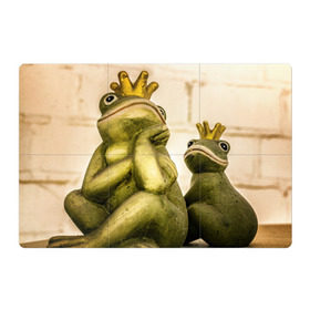 Магнитный плакат 3Х2 с принтом Лягушка в Кировске, Полимерный материал с магнитным слоем | 6 деталей размером 9*9 см | жаба | животные | лягушка | природа