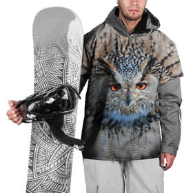 Накидка на куртку 3D с принтом Сова в Кировске, 100% полиэстер |  | глаза | клюв | когти | крылья | лес | летать | мудрая | мудрость | неясыть | ночная | ночь | охота | перья | полярная | почтовая | птица | серая | сова | совенок | сон | сыч | умная | филин | хищник