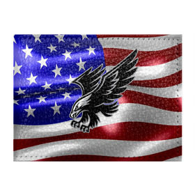 Обложка для студенческого билета с принтом Флаг США с орлом в Кировске, натуральная кожа | Размер: 11*8 см; Печать на всей внешней стороне | usa | америка | белоголовый | герб | государство | доллар | дядя сэм | звездно полосатый флаг | лысый | нато | оон | орел | птица | свобода | символ | соединённые штаты америки | страна | сша | штат