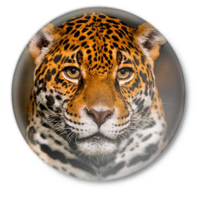 Значок с принтом Jaguar в Кировске,  металл | круглая форма, металлическая застежка в виде булавки | Тематика изображения на принте: глаза | дикая кошка | кошка | леопард | сафари | хищник | ягуар