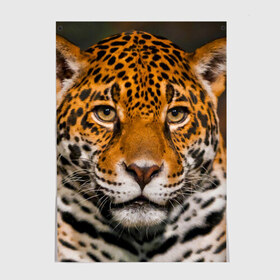 Постер с принтом Jaguar в Кировске, 100% бумага
 | бумага, плотность 150 мг. Матовая, но за счет высокого коэффициента гладкости имеет небольшой блеск и дает на свету блики, но в отличии от глянцевой бумаги не покрыта лаком | глаза | дикая кошка | кошка | леопард | сафари | хищник | ягуар