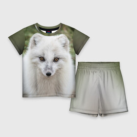 Детский костюм с шортами 3D с принтом White Fox в Кировске,  |  | Тематика изображения на принте: fox | red | лиса | лисенок | рыжая